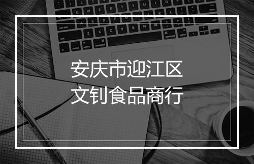 安庆市迎江区文钊食品商行