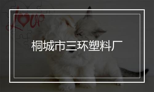 桐城市三环塑料厂