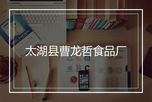 太湖县曹龙哲食品厂