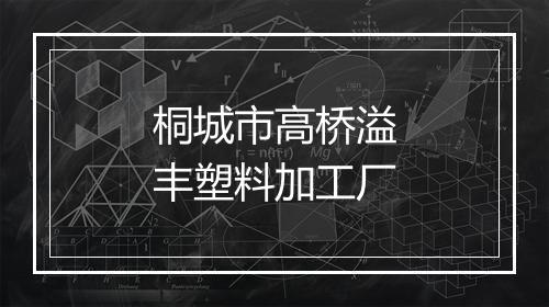 桐城市高桥溢丰塑料加工厂