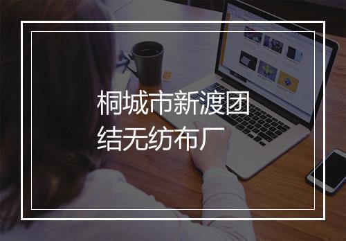 桐城市新渡团结无纺布厂