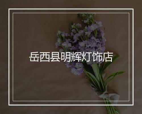 岳西县明辉灯饰店
