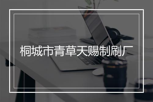 桐城市青草天赐制刷厂