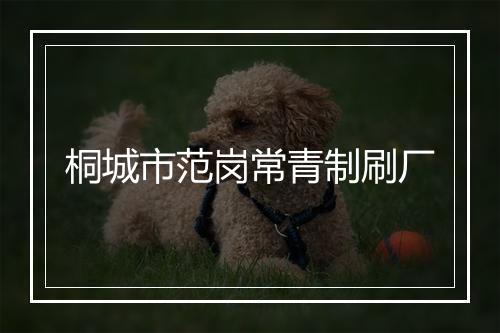 桐城市范岗常青制刷厂