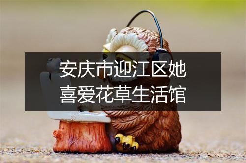 安庆市迎江区她喜爱花草生活馆
