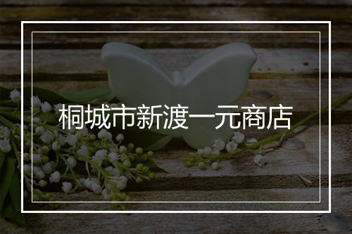 桐城市新渡一元商店