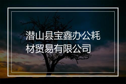 潜山县宝鑫办公耗材贸易有限公司