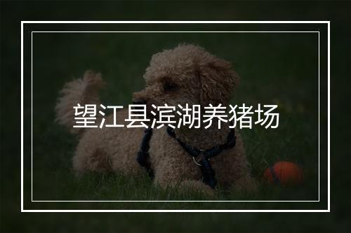 望江县滨湖养猪场