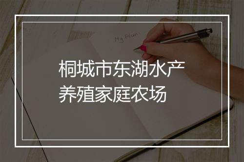 桐城市东湖水产养殖家庭农场