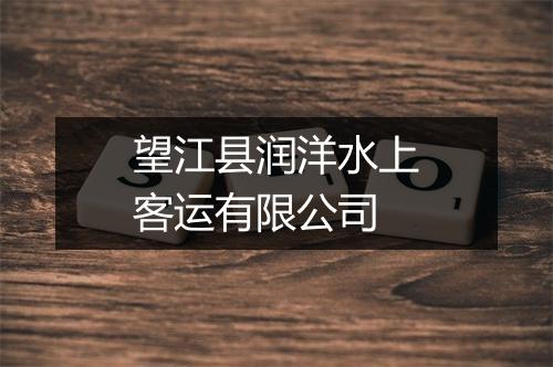 望江县润洋水上客运有限公司