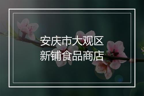 安庆市大观区新铺食品商店