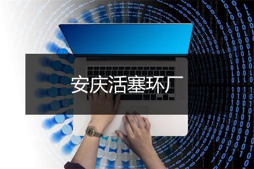 安庆活塞环厂