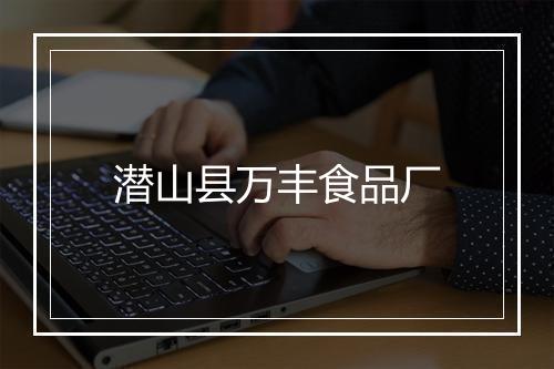 潜山县万丰食品厂