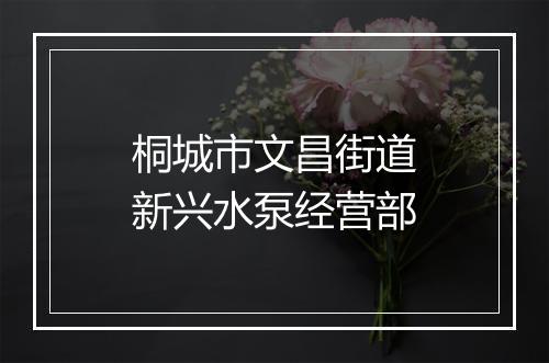 桐城市文昌街道新兴水泵经营部