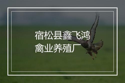 宿松县鑫飞鸿禽业养殖厂