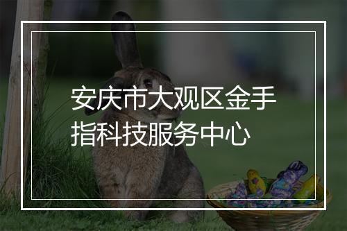 安庆市大观区金手指科技服务中心
