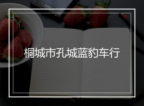 桐城市孔城蓝豹车行