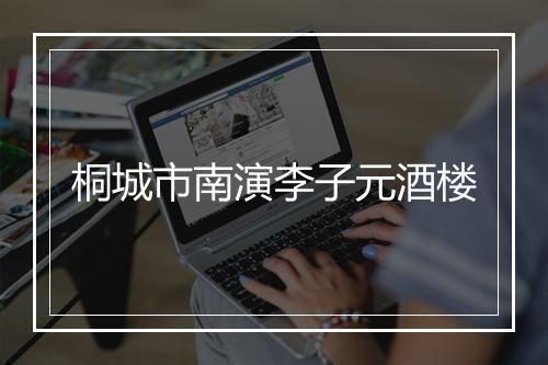 桐城市南演李子元酒楼