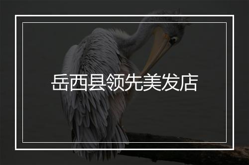 岳西县领先美发店