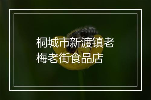 桐城市新渡镇老梅老街食品店