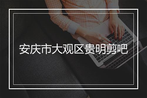 安庆市大观区贵明剪吧