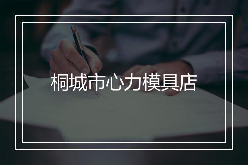 桐城市心力模具店