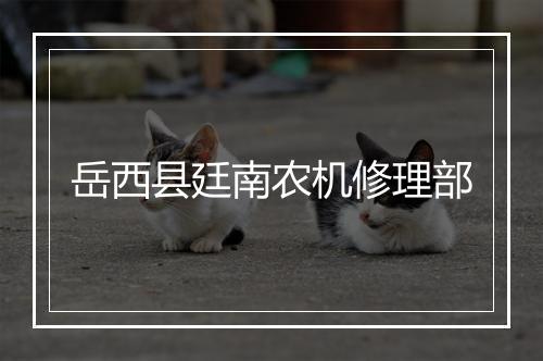 岳西县廷南农机修理部