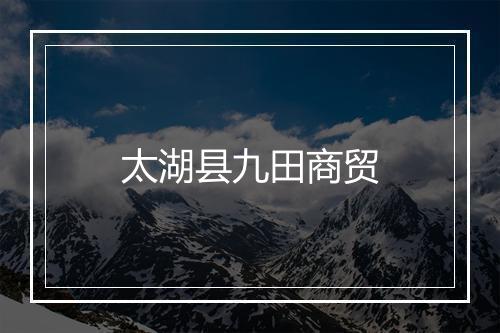 太湖县九田商贸