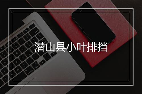 潜山县小叶排挡