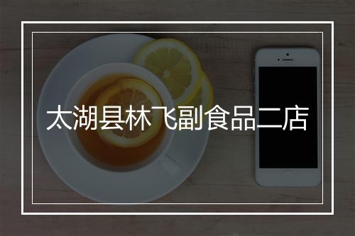 太湖县林飞副食品二店