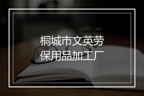 桐城市文英劳保用品加工厂
