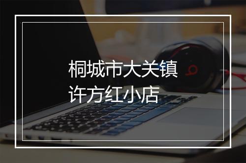 桐城市大关镇许方红小店