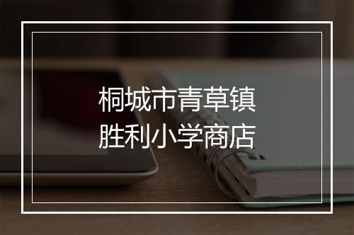 桐城市青草镇胜利小学商店