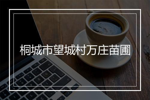 桐城市望城村万庄苗圃