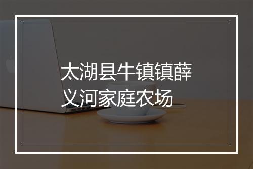 太湖县牛镇镇薛义河家庭农场
