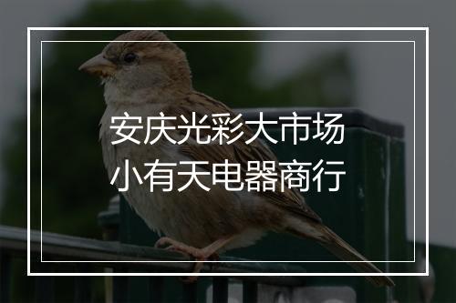安庆光彩大市场小有天电器商行