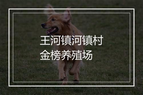 王河镇河镇村金榜养殖场