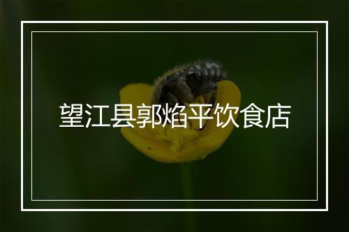 望江县郭焰平饮食店