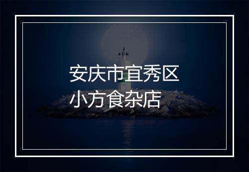 安庆市宜秀区小方食杂店