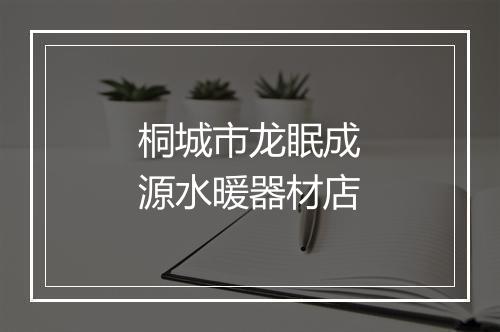 桐城市龙眠成源水暖器材店