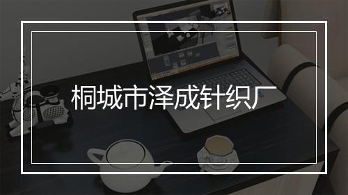 桐城市泽成针织厂