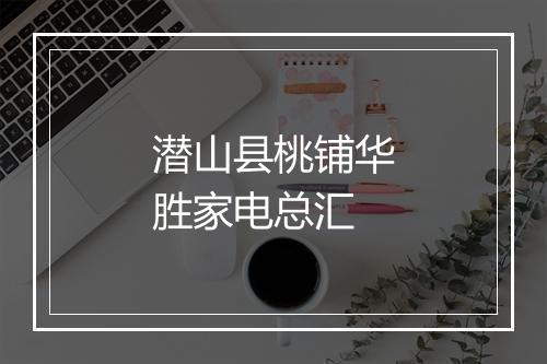 潜山县桃铺华胜家电总汇