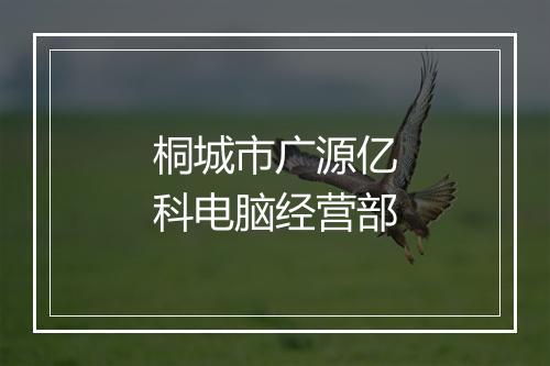 桐城市广源亿科电脑经营部