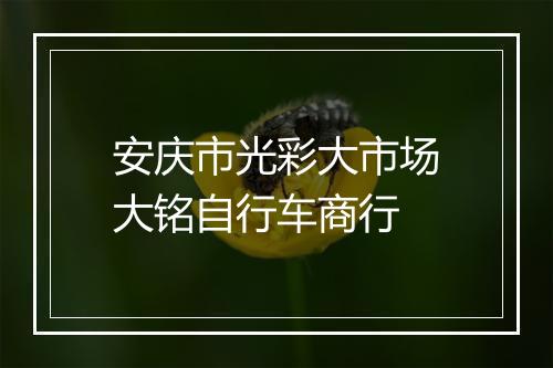安庆市光彩大市场大铭自行车商行