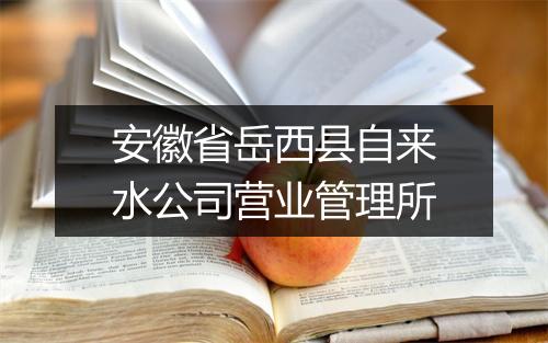 安徽省岳西县自来水公司营业管理所