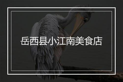 岳西县小江南美食店