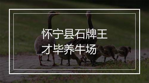 怀宁县石牌王才毕养牛场