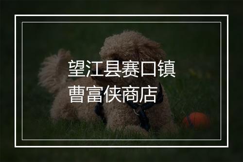 望江县赛口镇曹富侠商店