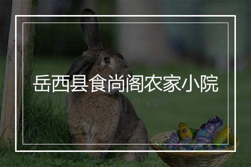 岳西县食尚阁农家小院