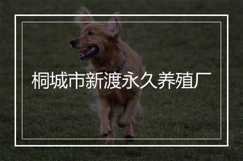 桐城市新渡永久养殖厂